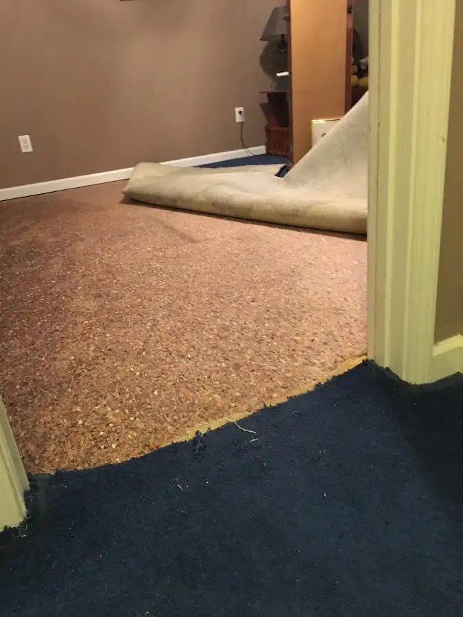 Carpet pad removal revealing water damage during Water Mitigation Services in Mukilteo