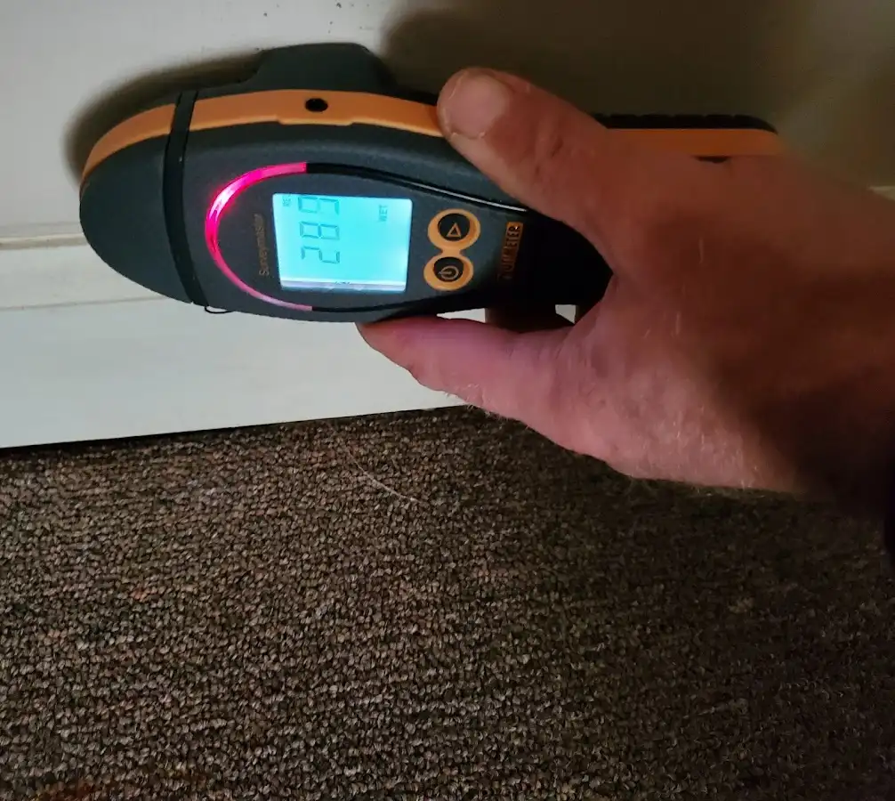 Moisture detection at baseboard during Sewage Cleanup & Sanitation in Mukilteo